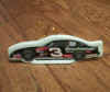 earnhardtornament.jpg (59204 bytes)